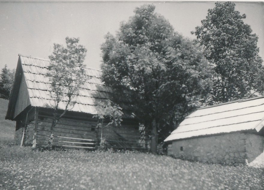 eika image